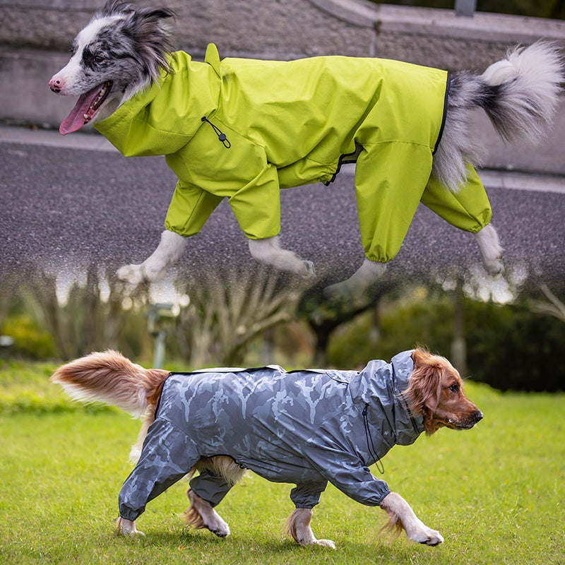 Head to Paw Rain Coat