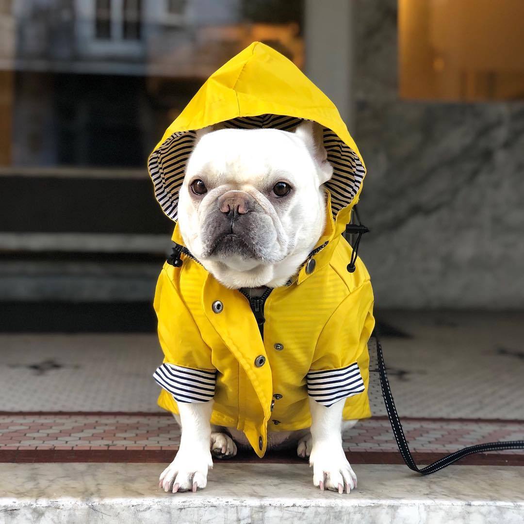 The Classic Raincoat
