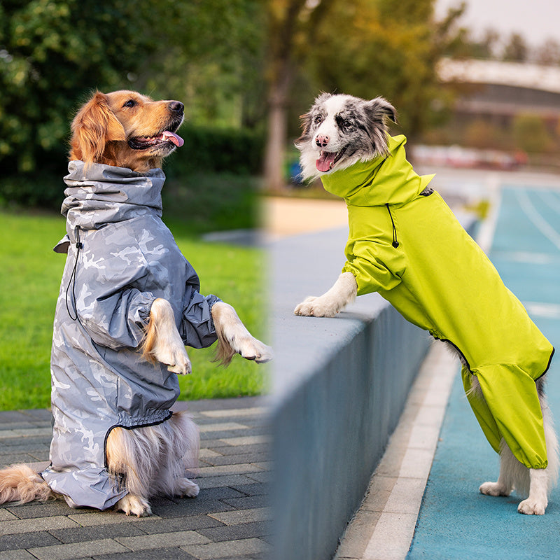 Head to Paw Rain Coat