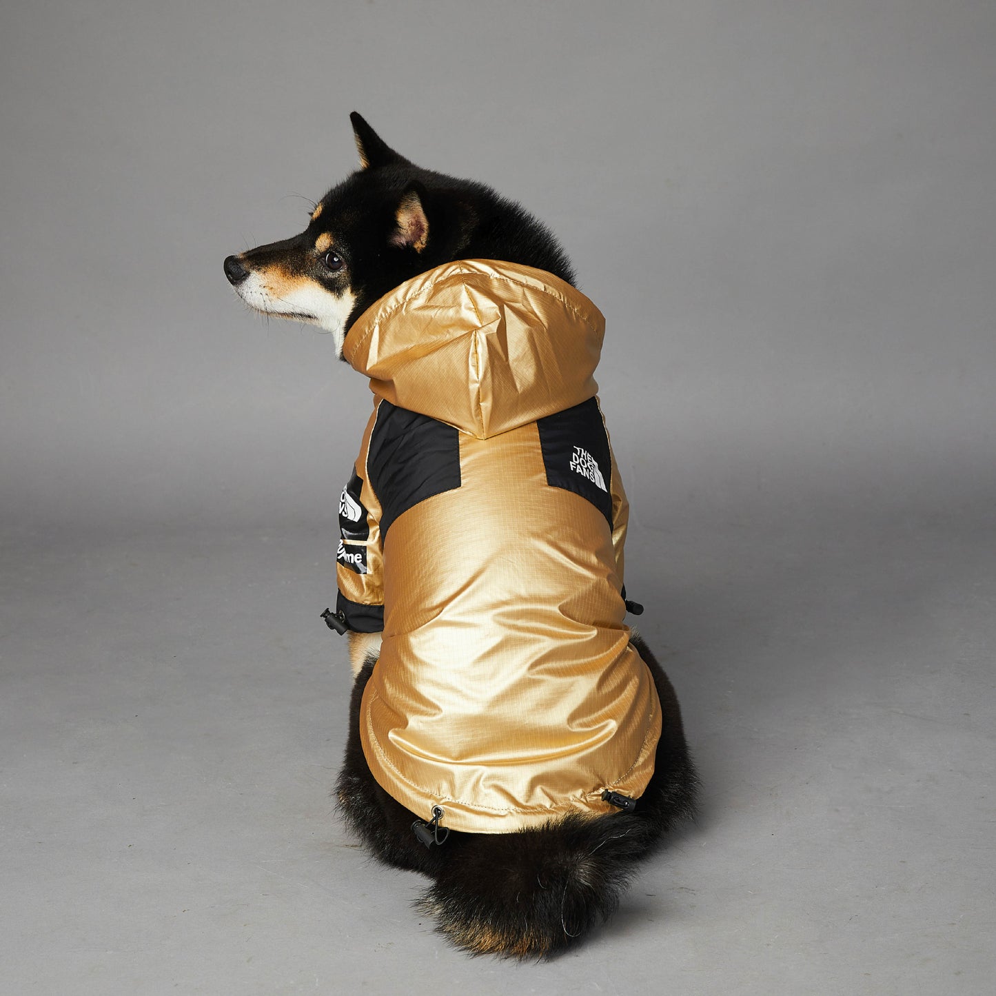 The Dog Fans Jacket Gold Edition