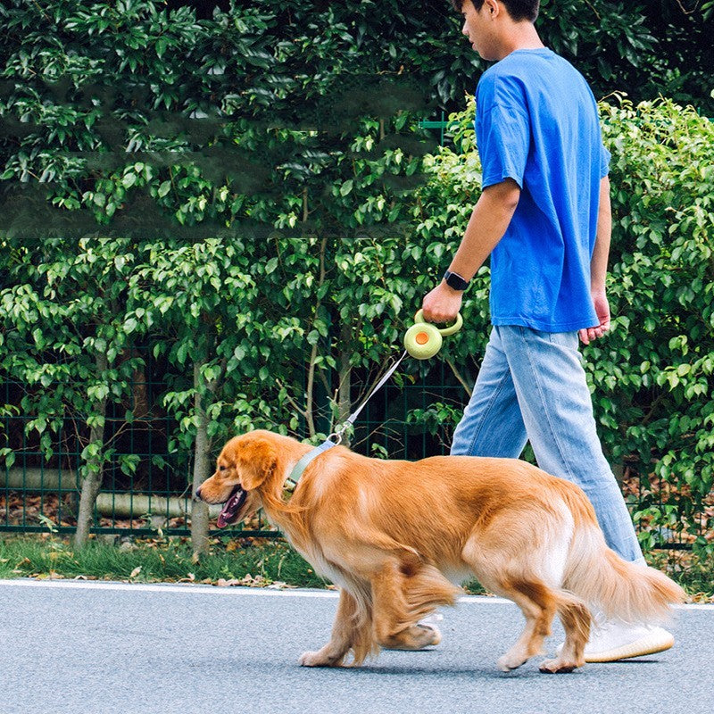 Donut Retractable Leash