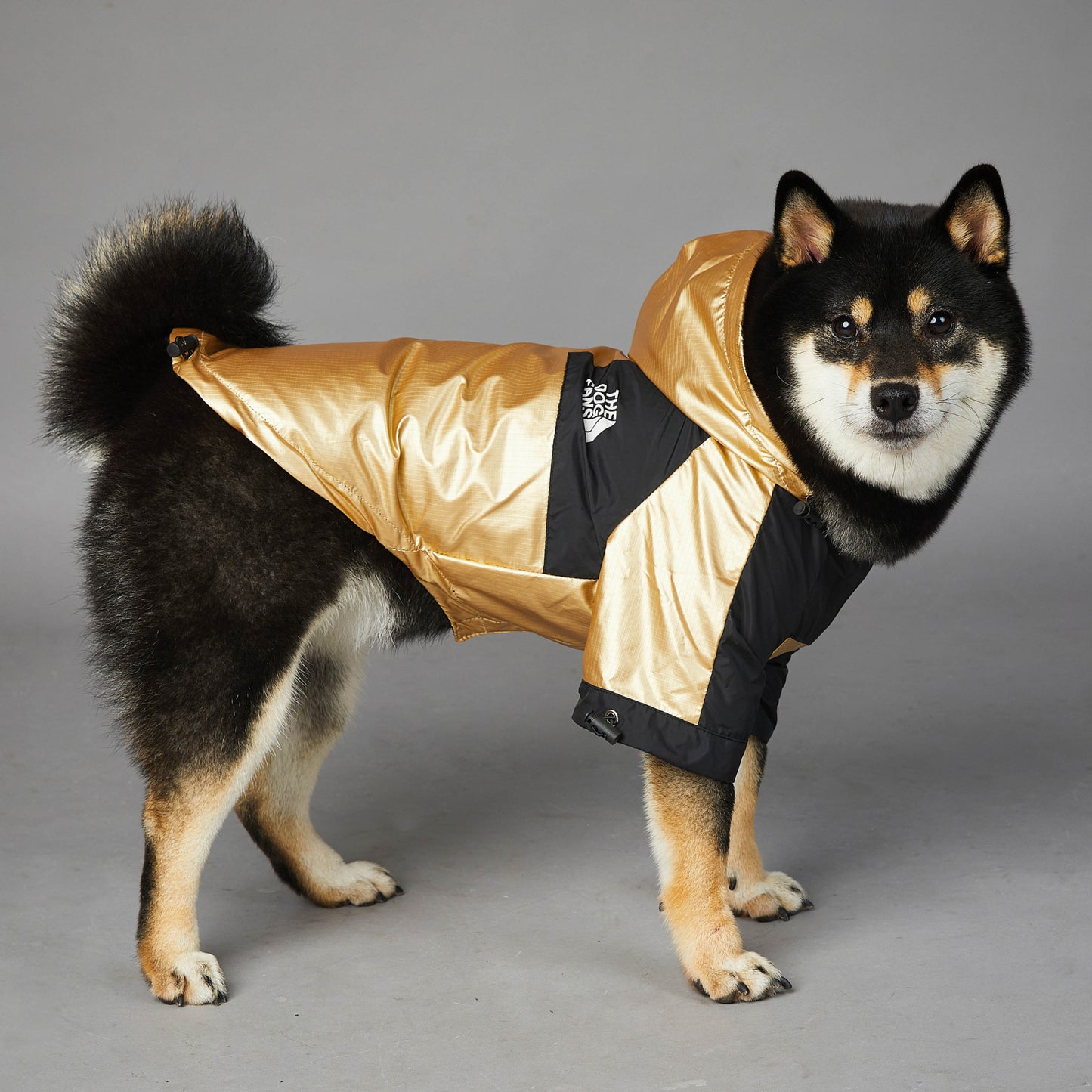 The Dog Fans Jacket Gold Edition