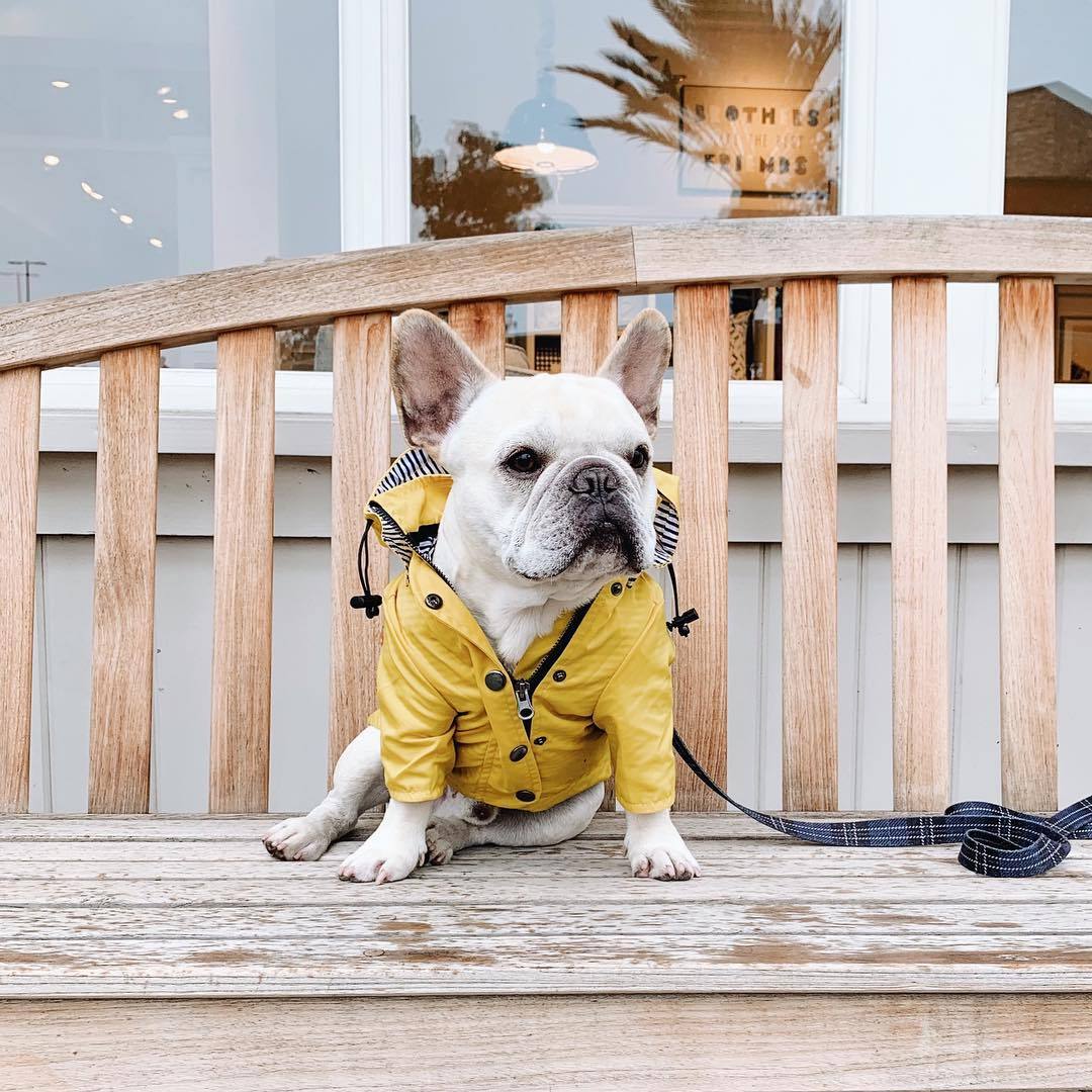 The Classic Raincoat