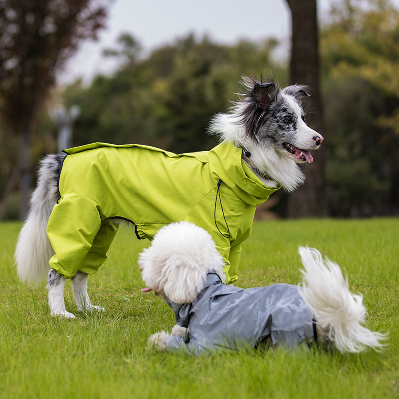 Head to Paw Rain Coat