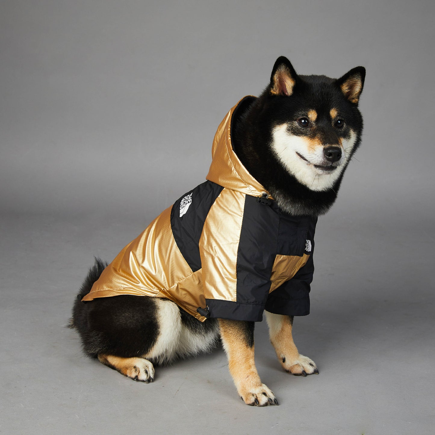 The Dog Fans Jacket Gold Edition
