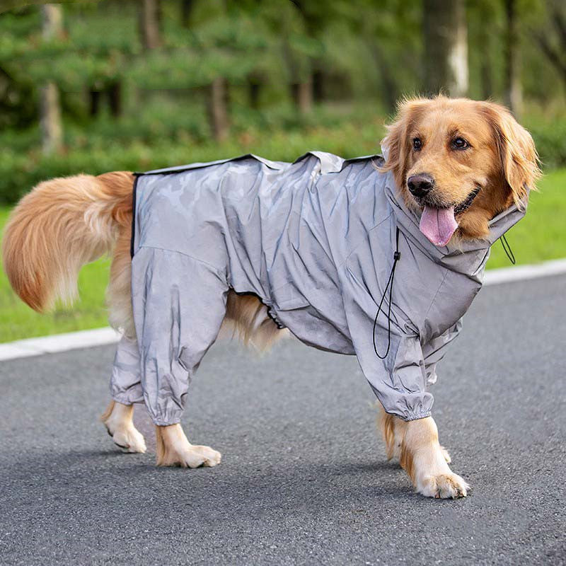 Head to Paw Rain Coat