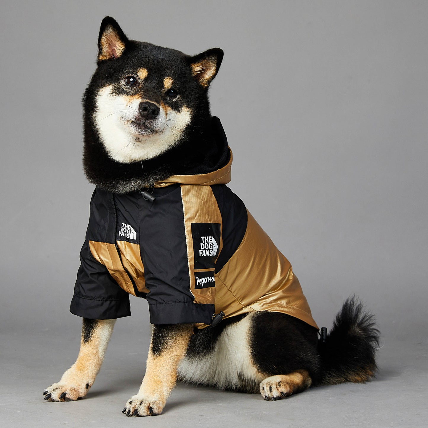The Dog Fans Jacket Gold Edition