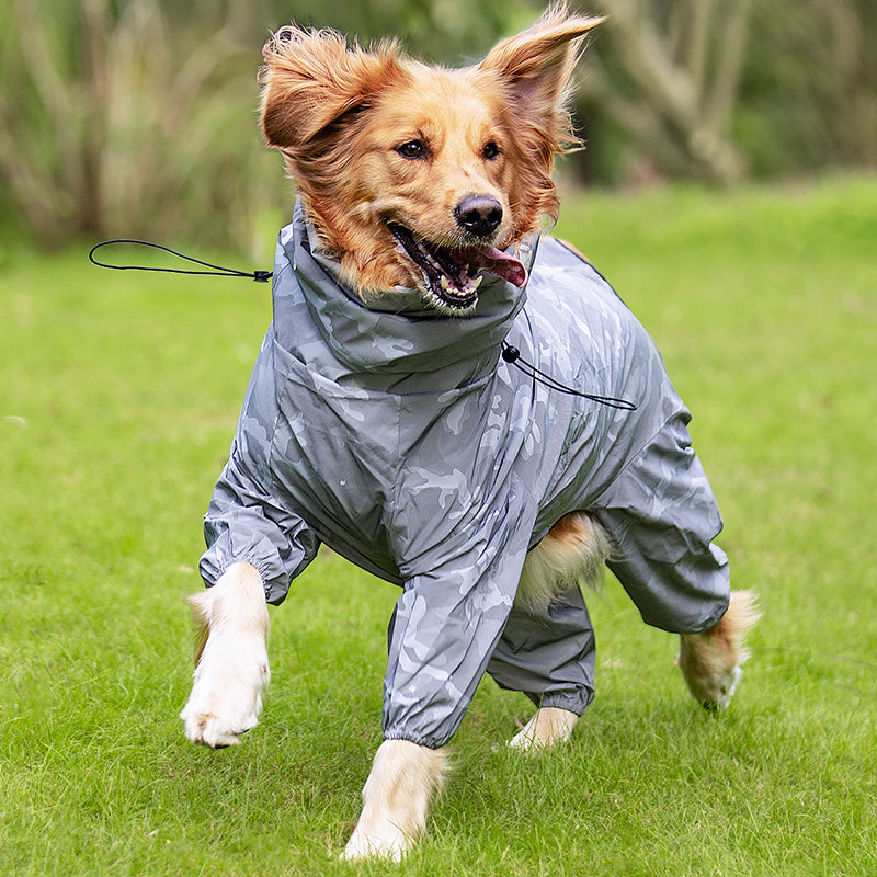 Head to Paw Rain Coat